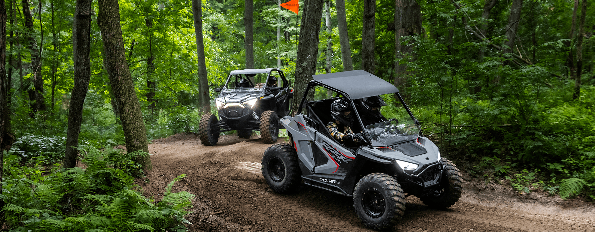 Polaris Rzr 200 efi