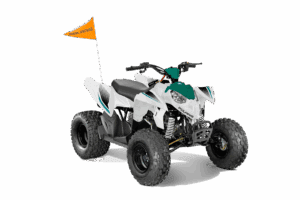Polaris OUTLAW 110 EFI