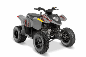 Polaris Phoenix 200